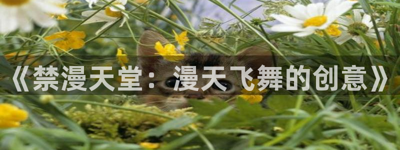 omofun动漫官方版下载：《禁漫天堂：漫天飞舞的创意》