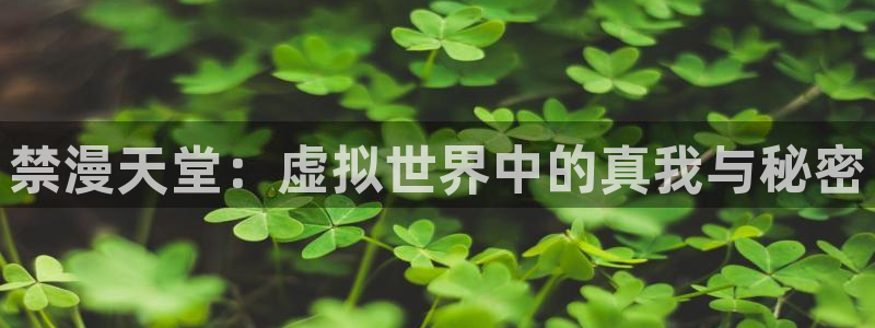omofun在线观看动漫：禁漫天堂：虚拟世界中的真我与秘密