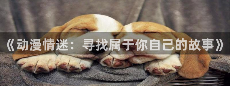 .omofun：《动漫情迷：寻找属于你自己的故事》