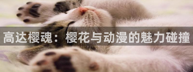 omofun动漫网页版：高达樱魂：樱花与动漫的魅力碰撞