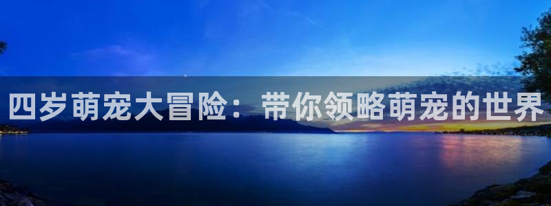 omofun官方下载入口：四岁萌宠大冒险：带你领略萌宠的世界