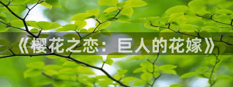 omofun 动漫在线观看：《樱花之恋：巨人的花嫁》