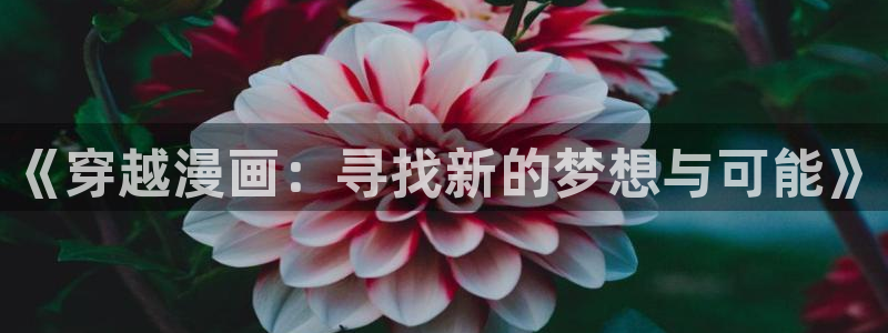 omofun动画网：《穿越漫画：寻找新的梦想与可能》