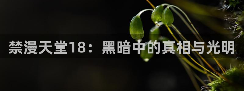 omofun动漫官网：禁漫天堂18：黑暗中的真相与光明