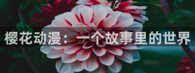 omofunapp下载：樱花动漫：一个故事里的世界