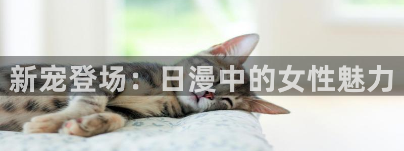 omofun更新：新宠登场：日漫中的女性魅力