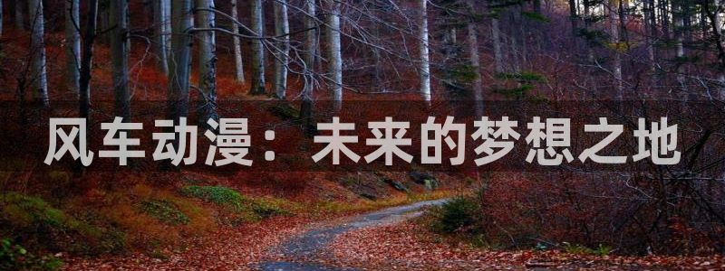 动漫共和国(omofun)官网：风车动漫：未来的梦想之地