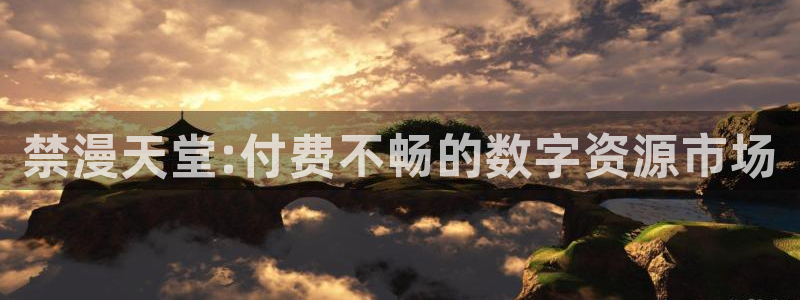 omofun官方app：禁漫天堂:付费不畅的数字资源市场