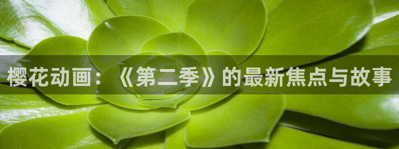 omofun在线观看动漫：樱花动画：《第二季》的最新焦点与故事