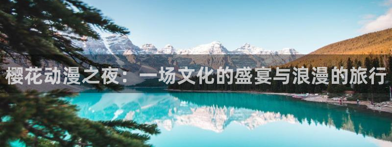 omofun动漫旧版本：樱花动漫之夜：一场文化的盛宴与浪漫的旅行