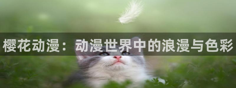 omofun动漫免费观看官网：樱花动漫：动漫世界中的浪漫与色彩