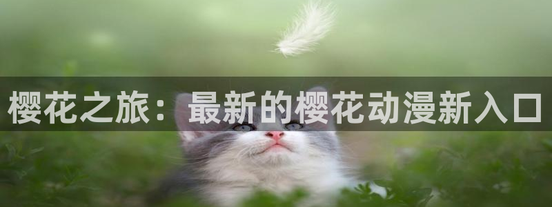 omofun弹幕网：樱花之旅：最新的樱花动漫新入口